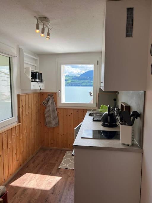 Apartment Bijou Loft - Charming Loft On Thun Near Interlaken Merligen